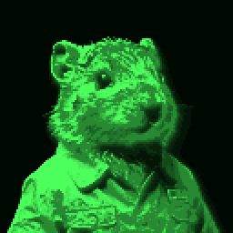 An inhabitant of Arexe