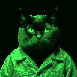 An inhabitant of Reorte