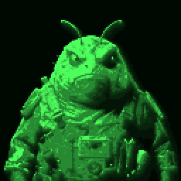 An inhabitant of Soinuste