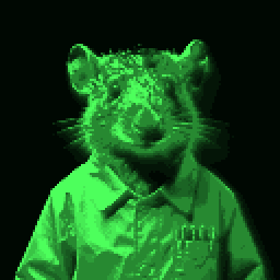 An inhabitant of Zaonce