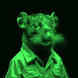An inhabitant of Usrarema