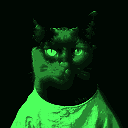 An inhabitant of Diso