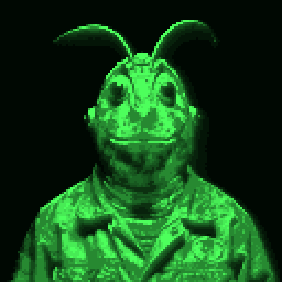 An inhabitant of Enonla