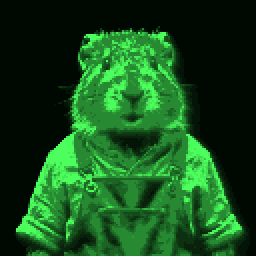 An inhabitant of Tibionis
