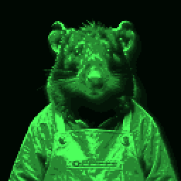 An inhabitant of Quorte